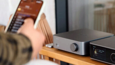 Foto © Linkplay Technology Inc. | WiiM Vibelink Amp