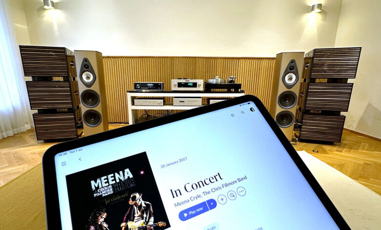 Foto © sempre-audio.at - Michael Holzinger | REL Carbon Special Black Label Line-Array Review