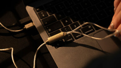 Foto © iFi Audio | iFi GO cable