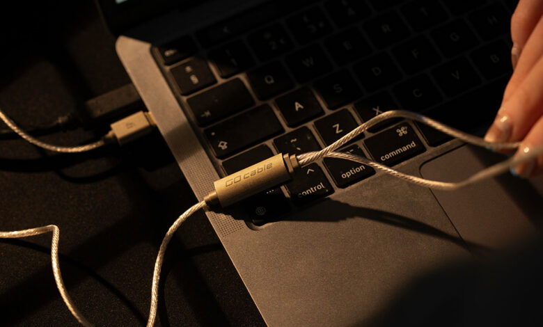 Foto © iFi Audio | iFi GO cable