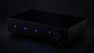 Foto © Dual GmbH | Dual CP 707 Phono Preamplifier