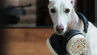Foto © Tejada House S.L. | Palma DHS-10 Convertible Headphones