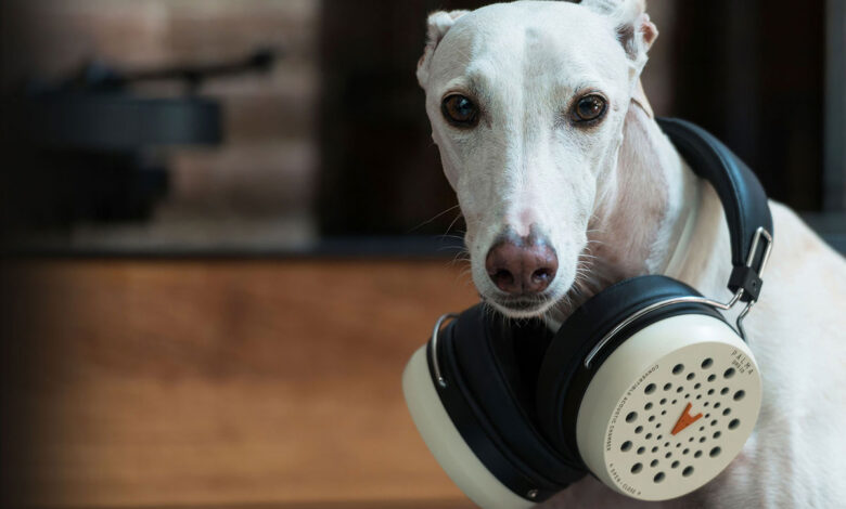 Foto © Tejada House S.L. | Palma DHS-10 Convertible Headphones